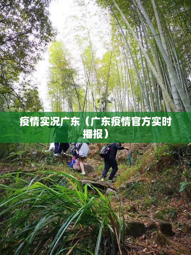 疫情实况广东（广东疫情官方实时播报）