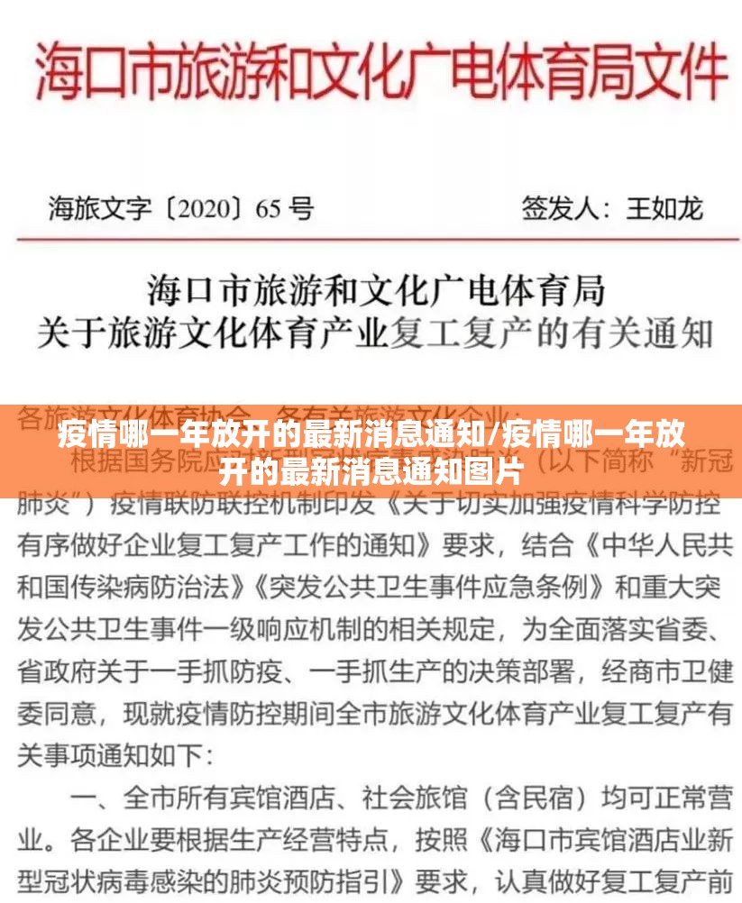 疫情哪一年放开的最新消息通知/疫情哪一年放开的最新消息通知图片