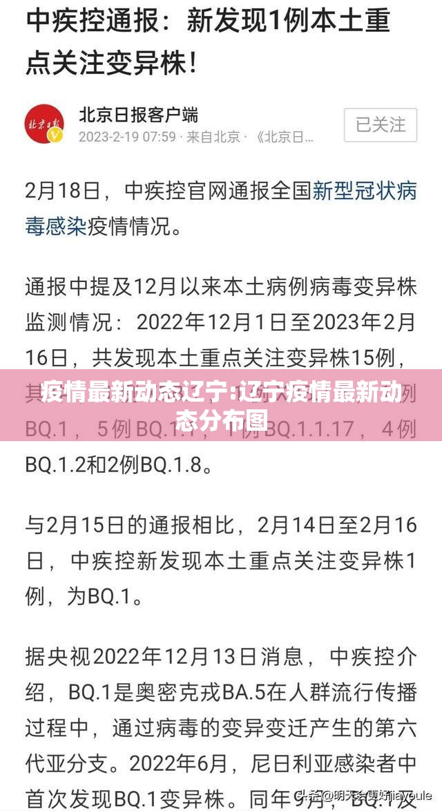 疫情最新动态辽宁:辽宁疫情最新动态分布图