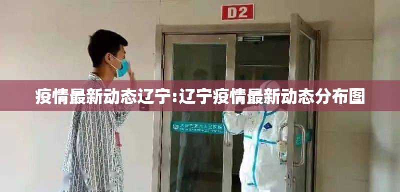 疫情最新动态辽宁:辽宁疫情最新动态分布图