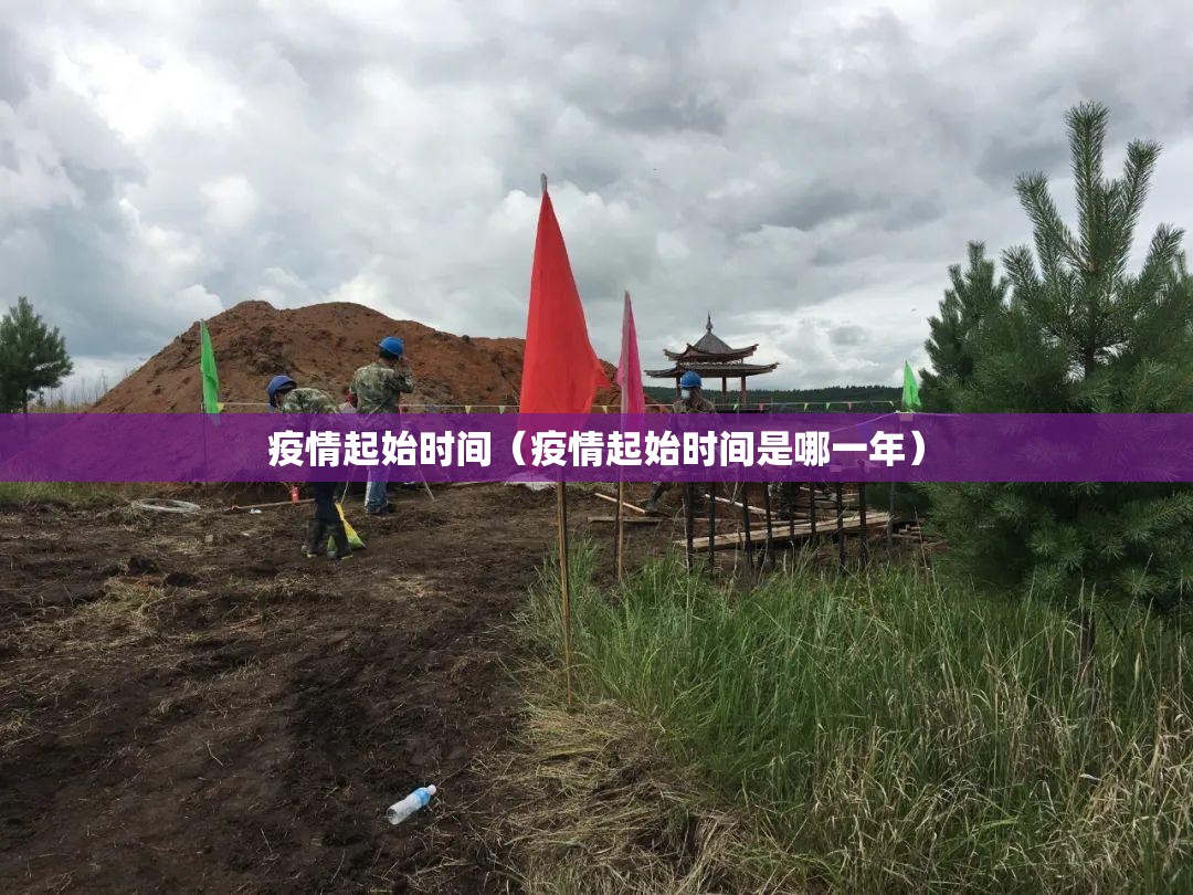 疫情起始时间（疫情起始时间是哪一年）