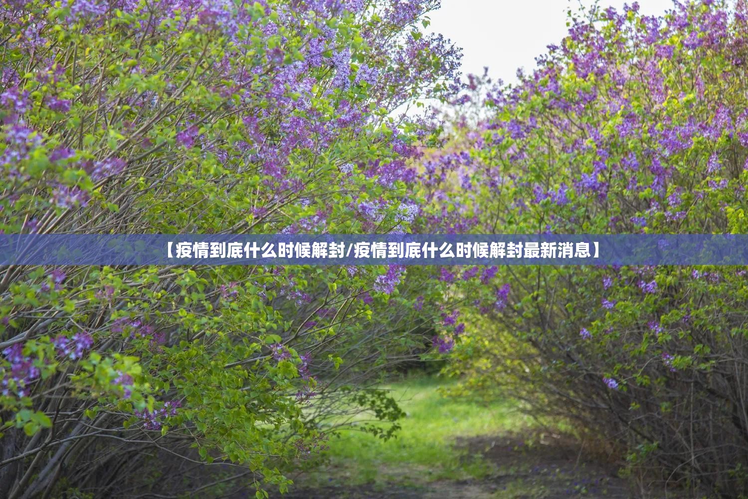 【疫情到底什么时候解封/疫情到底什么时候解封最新消息】