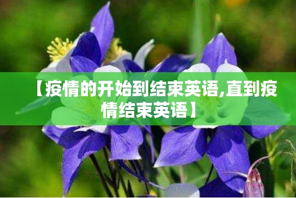 【疫情的开始到结束英语,直到疫情结束英语】