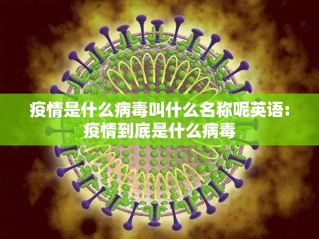 疫情是什么病毒叫什么名称呢英语:疫情到底是什么病毒