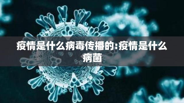 疫情是什么病毒传播的:疫情是什么病菌