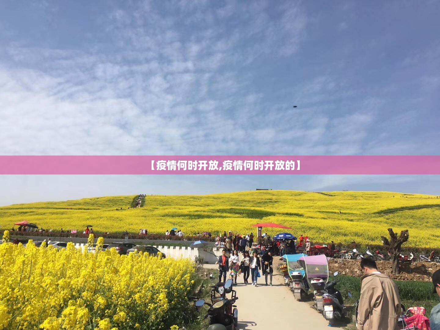 【疫情何时开放,疫情何时开放的】