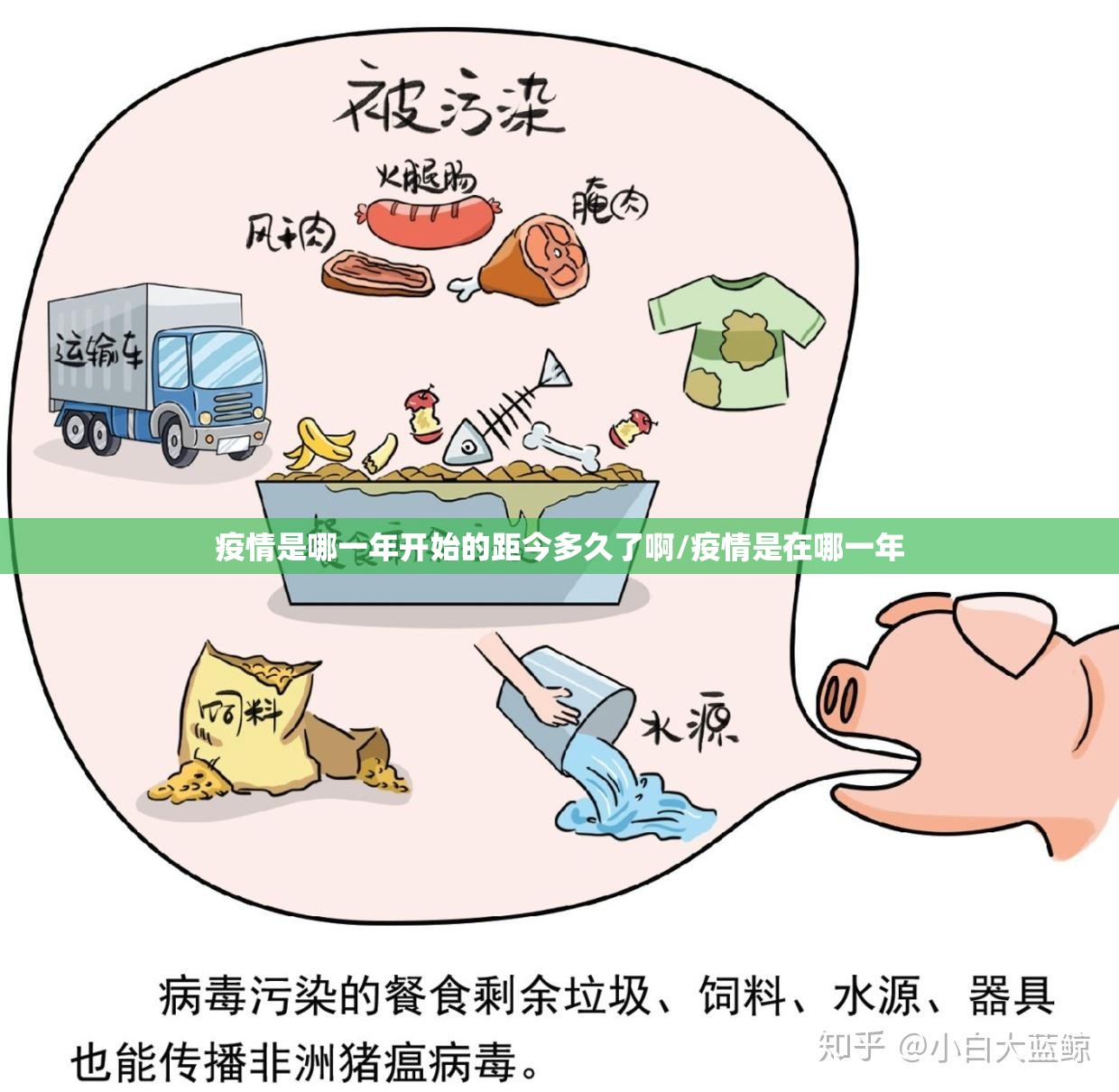 疫情是哪一年开始的距今多久了啊/疫情是在哪一年