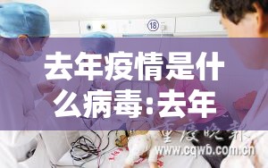 去年疫情是什么病毒:去年疫情是什么地方