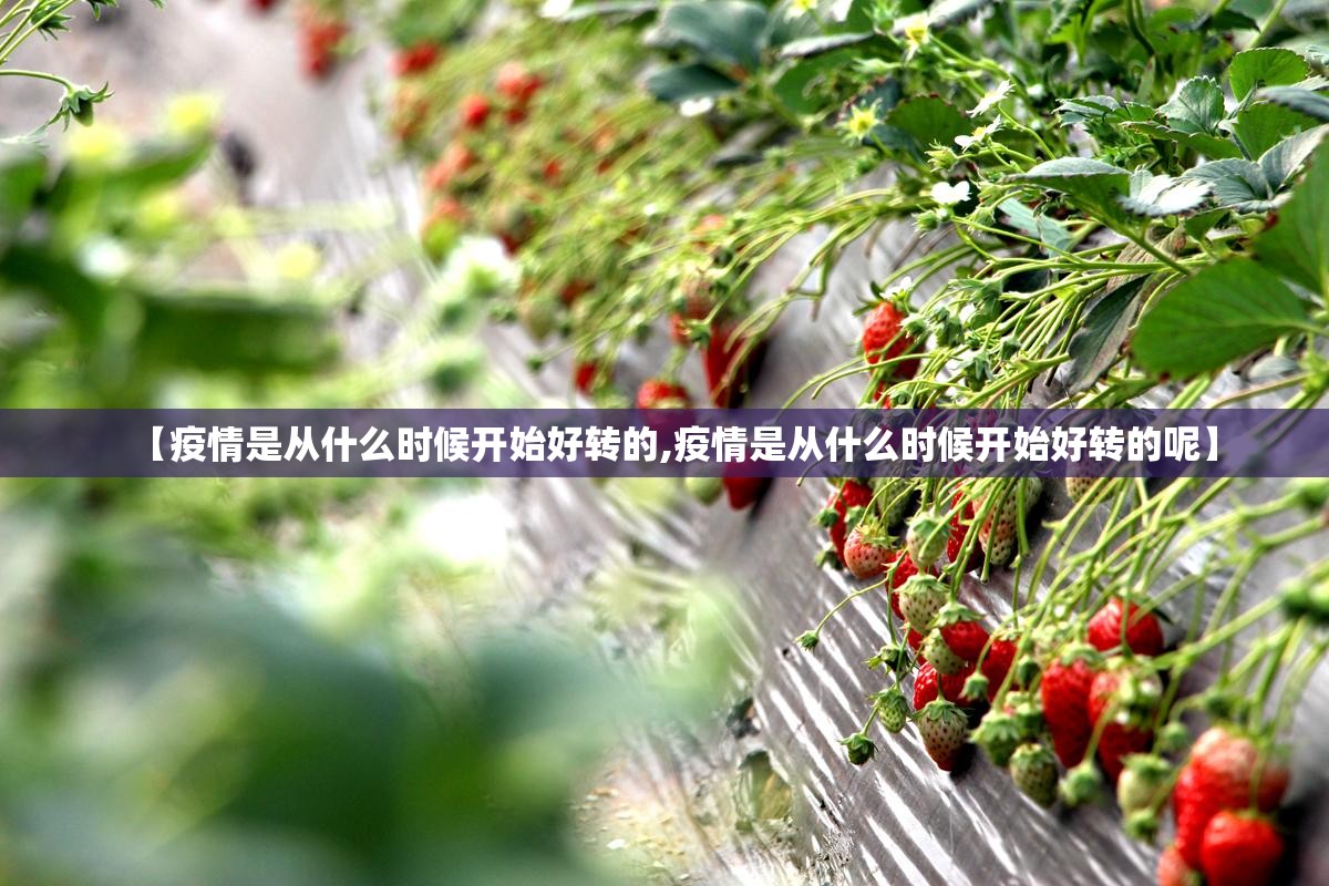 【疫情是从什么时候开始好转的,疫情是从什么时候开始好转的呢】