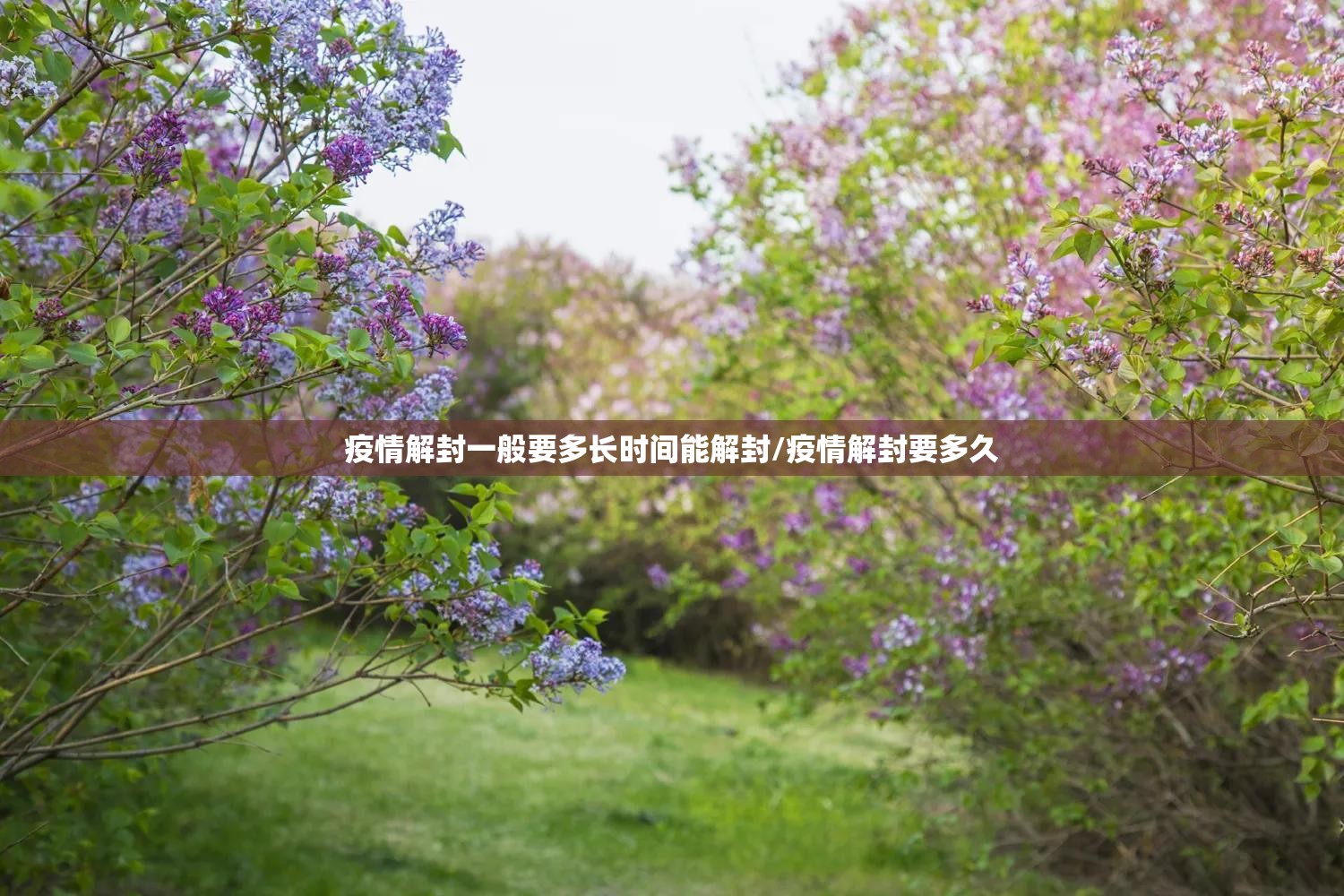 疫情解封一般要多长时间能解封/疫情解封要多久