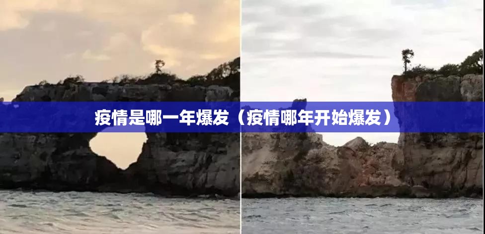 疫情是哪一年爆发（疫情哪年开始爆发）