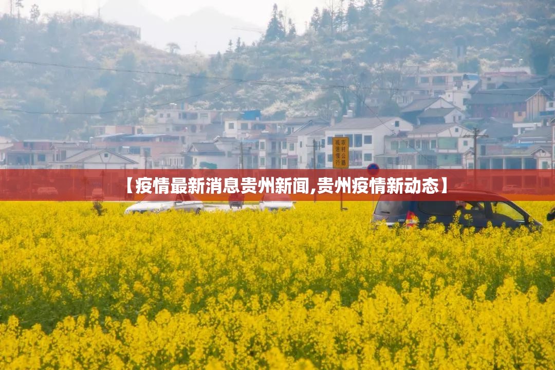 【疫情最新消息贵州新闻,贵州疫情新动态】